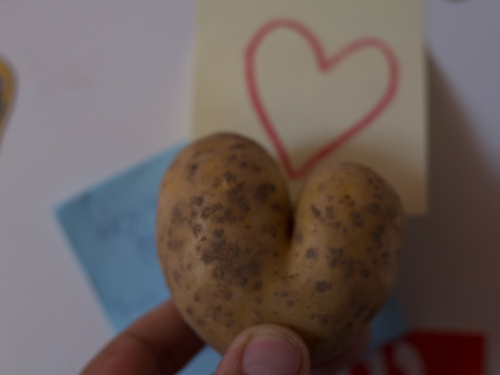 KartoffelHerz KartoffelHerz